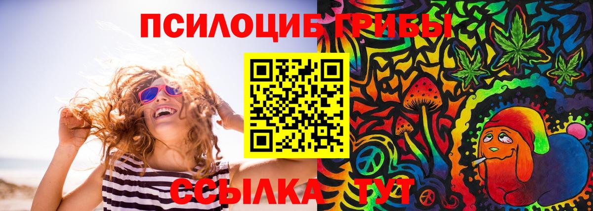Галлюциногенные грибы Psilocybine cubensis  Вход с VPN  Гулькевичи 